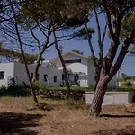 펜션 Forest Village *