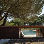 Forest Village 아젠하스도마르