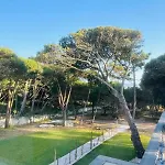 Forest Village * 아젠하스도마르