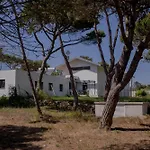 펜션 Forest Village