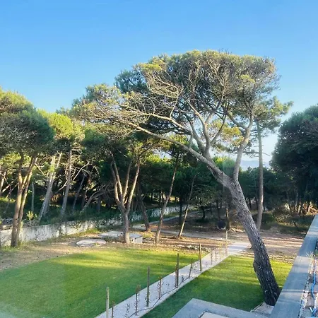 Forest Village * Azenhas do Mar