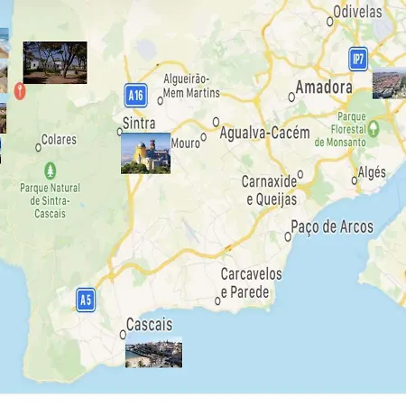 Сasa de vacaciones Forest Village