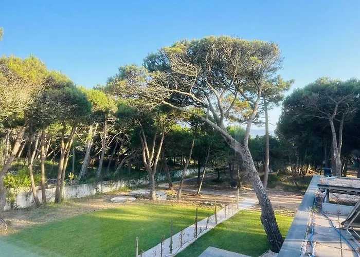 Forest Village * Azenhas do Mar